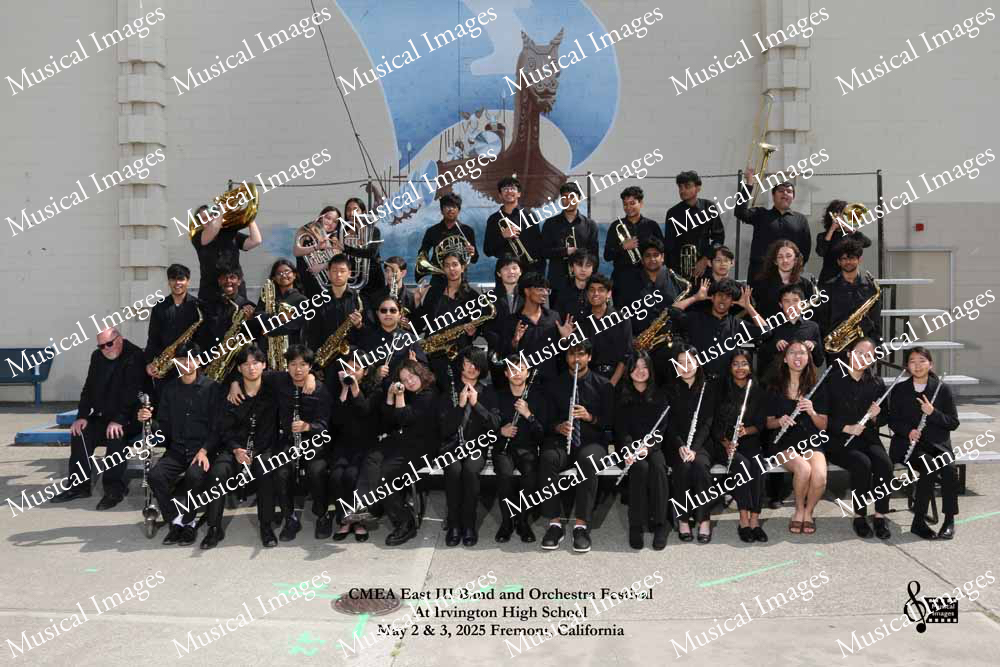 Musical Images